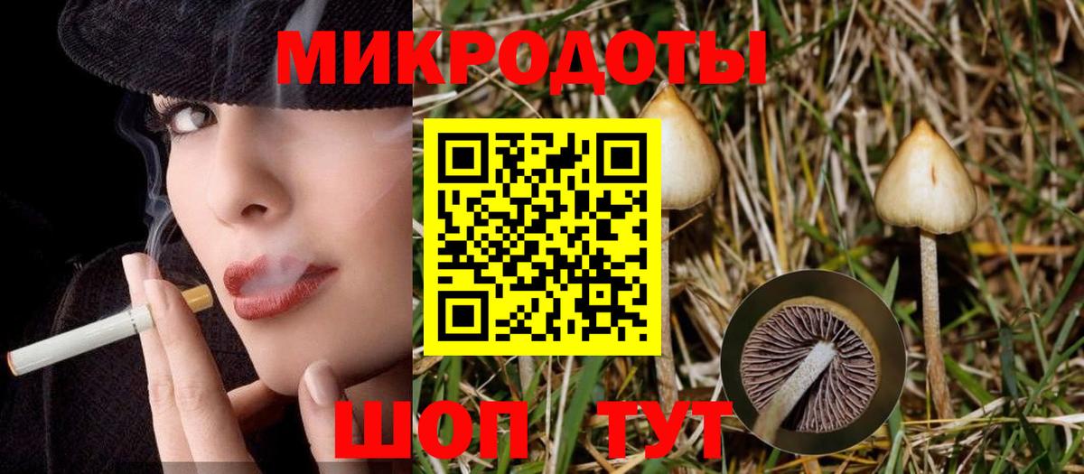 Рубцовск  Псилоцибиновые грибы мухоморы  Вход с VPN  Псилоцибиновые грибы прущие грибы 