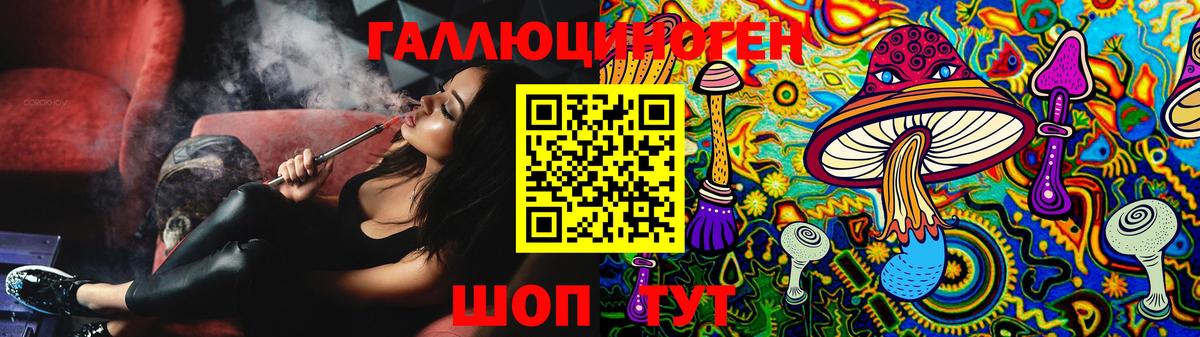 Псилоцибиновые грибы Psilocybe Рубцовск